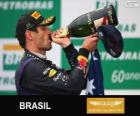 Марк Уэббер - Red Bull - 2013 Гран-при Бразилии, 2º классифицируются